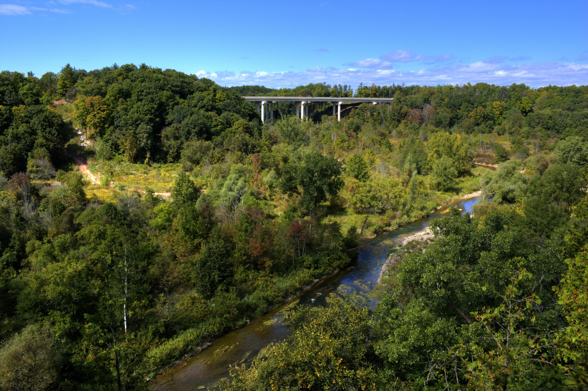 一条小溪，被树木环绕，远处有一座高速公路立交桥划过风景。