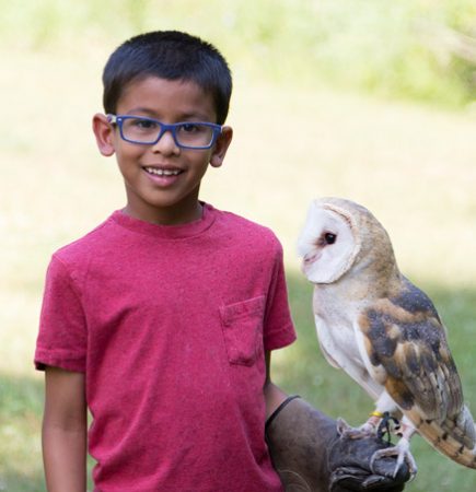 Young boy with an owl perched on his hand