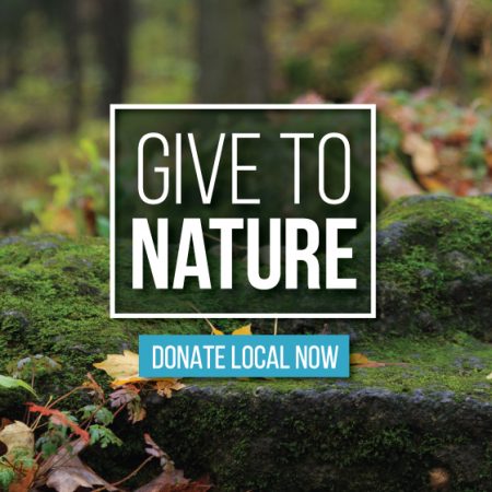give to nature logo