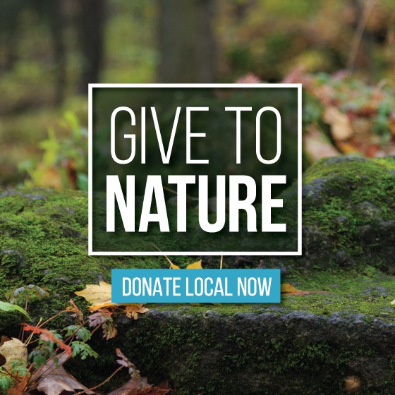logotipo de give to nature