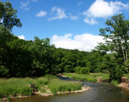 A stream surrounded by trees, against a blue sky, in spring.