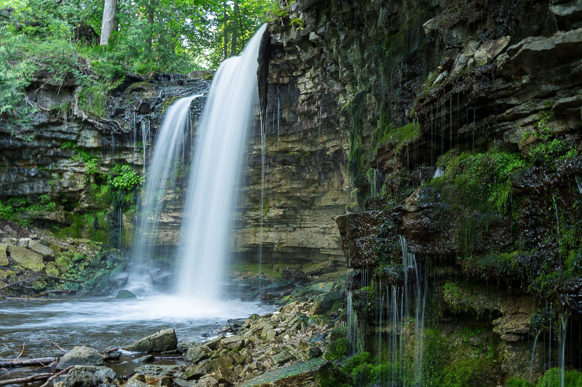 El agua se precipita por el borde de la cascada, rodeada de árboles, en el Área de Conservación de Hilton Falls durante la primavera.