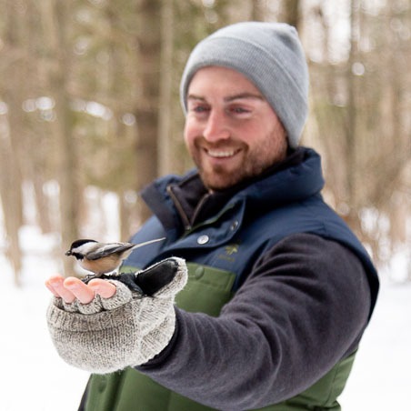 A man in a grey hat holds his hand out with a chickadee on it eating seeds