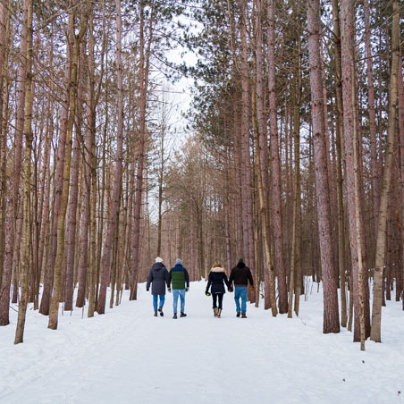 a group of hikers walk down a snowy trail surrounded by trees on either side