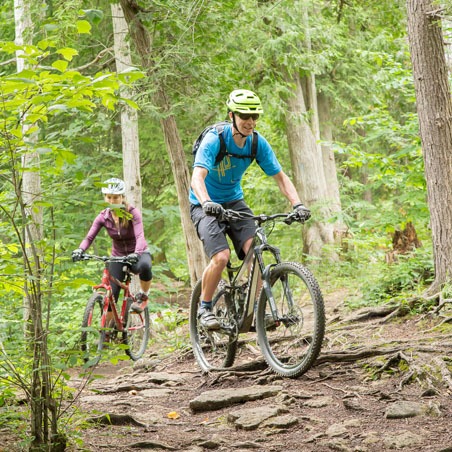 two mountain bikers pedal over large tree roots on a mountain bike trail