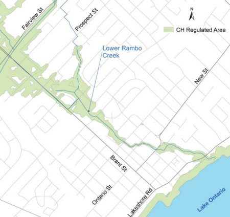 Aerial map of lower rambo creek