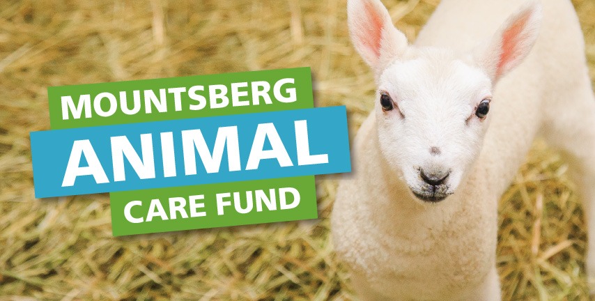 Mountsberg动物关怀基金