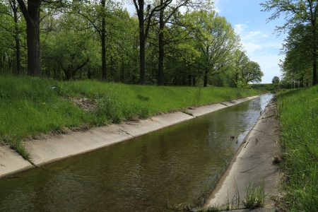 Un canal de hormigón atraviesa una zona de hierba, rodeada de árboles.