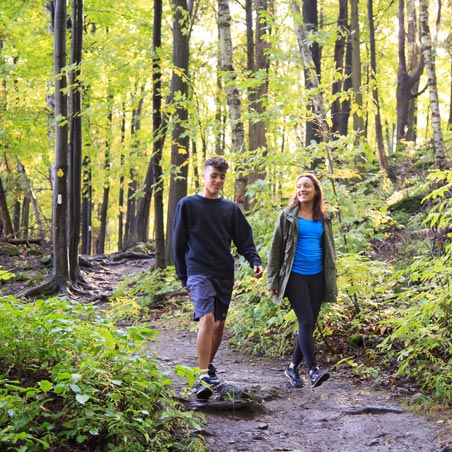 Two people walk along the trail through the trees in the forest, during the summer.