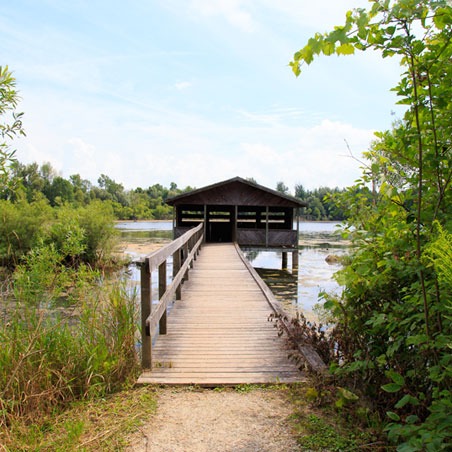 Un trottoir de bois mène à un belvédère abrité sur le lac, pendant l'été.