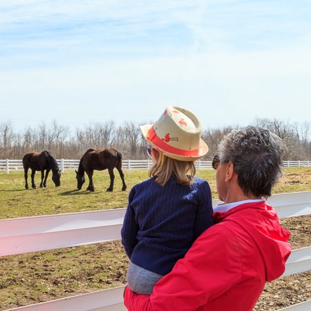 一个男人抱着一个年轻女孩，他们越过栅栏看着两匹吃草的马。