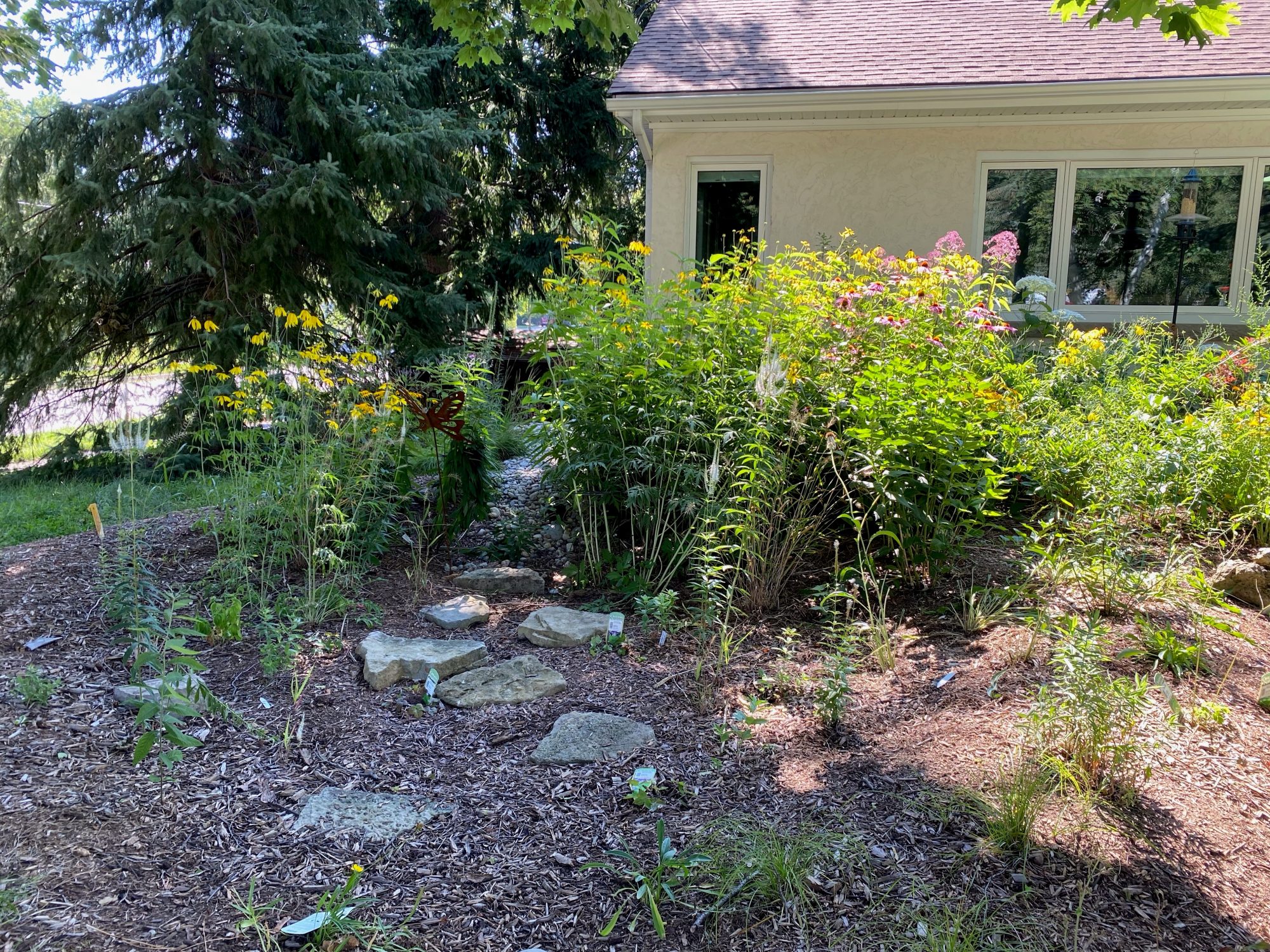 A rain garden filled with native species of flowers in front of a house.