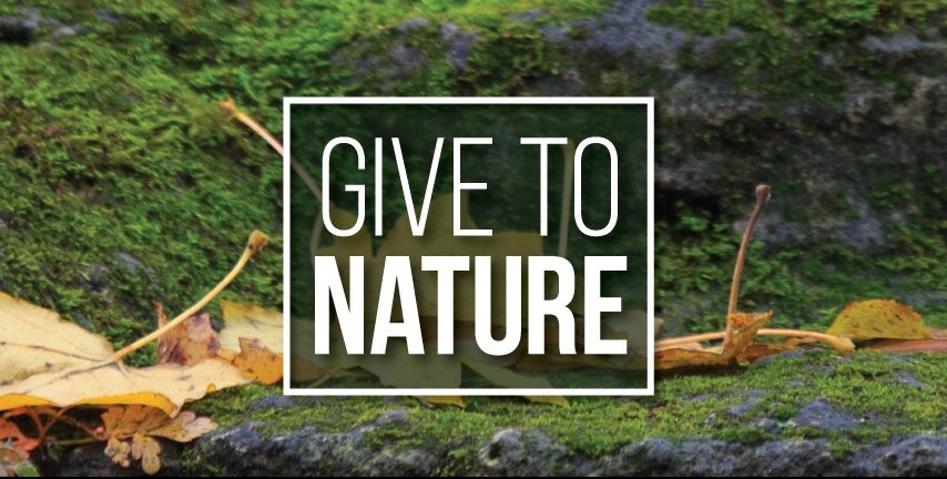Give to Nature
