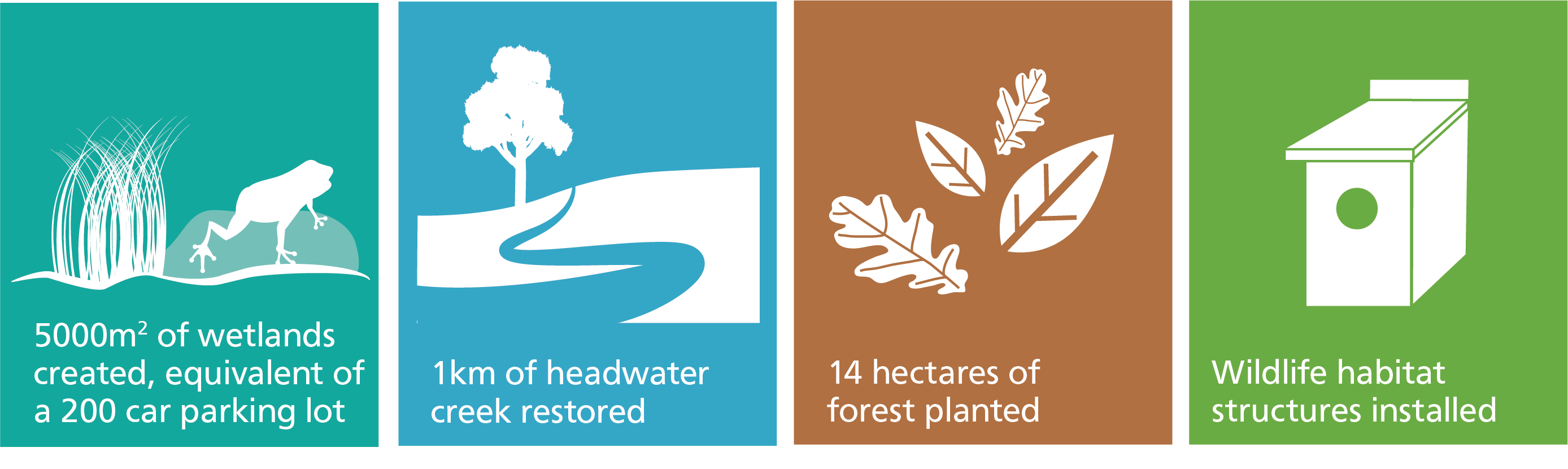 infographic detailing hopkins tract restoration project highlights