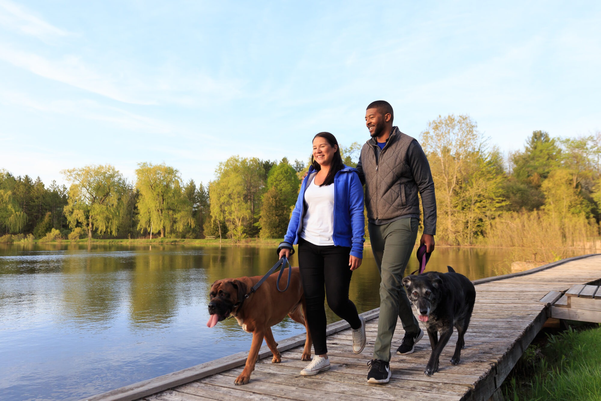 a man and a woman walking with their two dogs on a boardwalk over water