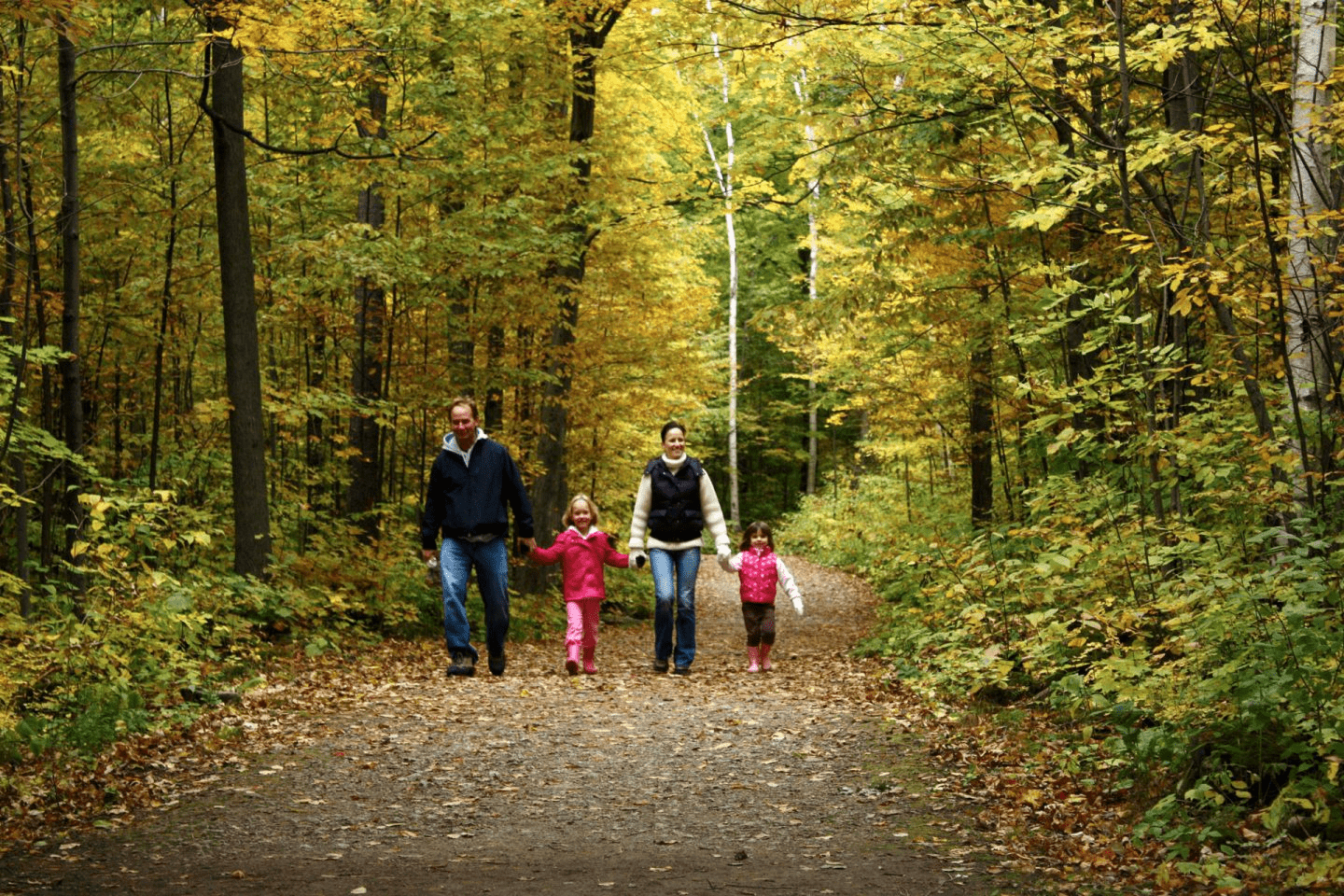 a mother, father, and two daughters hold hands and walk through an autumn forest