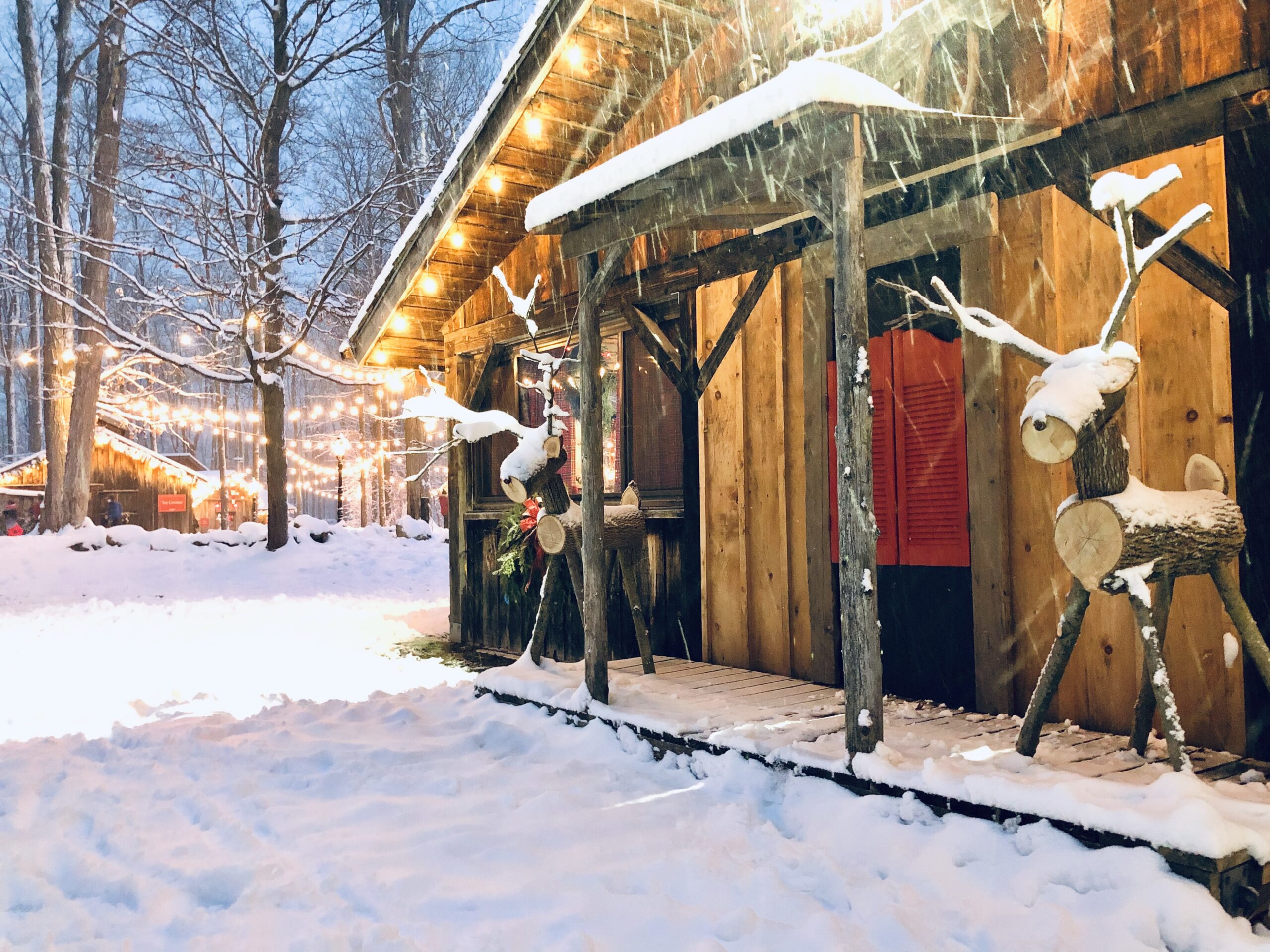 Storytime with Santa - Conservation Halton