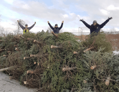 Three Conservation Halton staff standing above a pile of donated Christmas trees