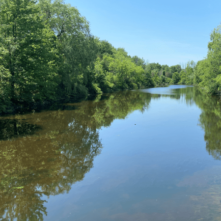 Bronte Creek