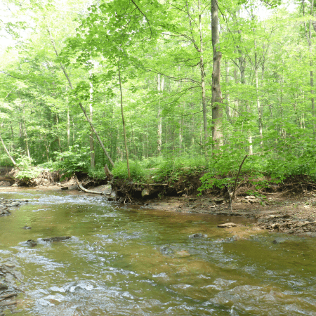 Grindstone Creek
