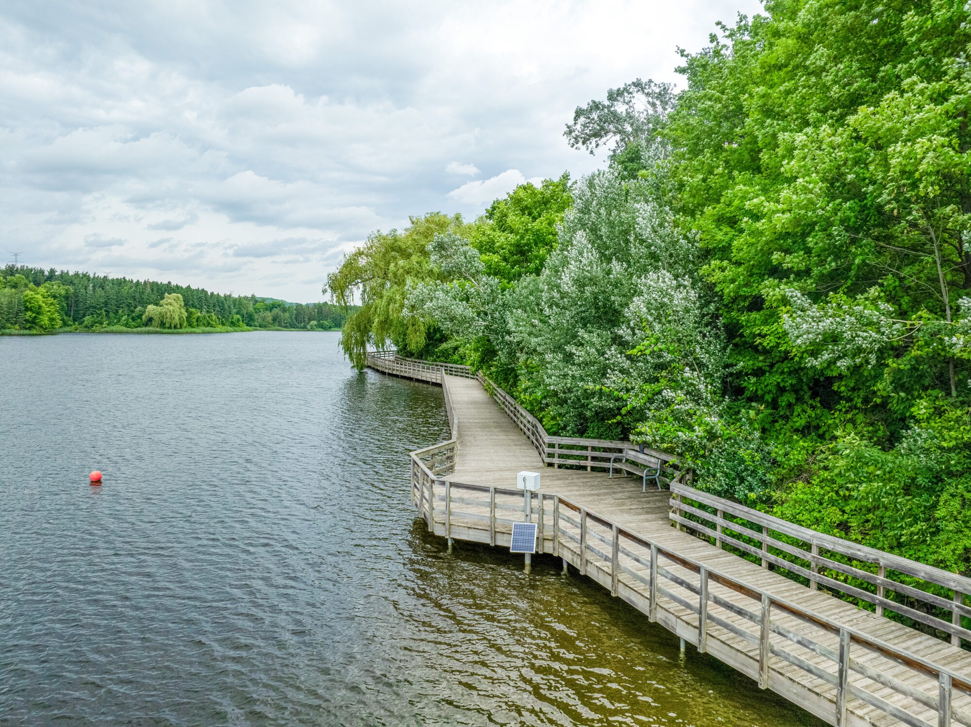 The boardwalk surrounded by the lake and trees at Kelso Conservation Area
